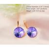 imageAustrian Crystal Round Drop Dangle Leverback Earrings  Plated 18KRose Gold Zircon Gemstone Birthstone Hoop Hanging Dangly Earrings Jewelry Gift for Wife Mom Daughter GirlfriendLight PurpleRose Gold